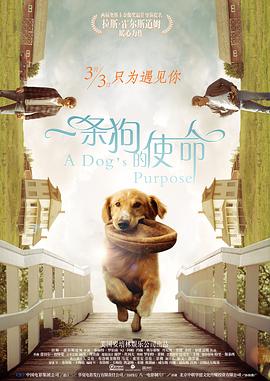 完结完整版观看
