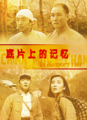 BD国语电影免费在线
