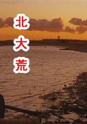 蓝光完整版在线看